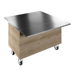 Electrolux Professional Tekerlekli, İki Adet Paslanmaz Çelik Tepsi Kaydırma, Y=900 Mm F00N3KW00S Electrolux Professional Tekerlekli, İki Adet Paslanmaz Çelik Tepsi Kaydırma, Y=900 Mm F00N3KW00S