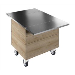 Electrolux Professional Tekerlekli, İki Adet Paslanmaz Çelik Tepsi Kaydırma, Y=900 Mm F00N2KW00S Electrolux Professional Tekerlekli, İki Adet Paslanmaz Çelik Tepsi Kaydırma, Y=900 Mm F00N2KW00S