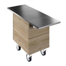 Electrolux Professional Tekerlekli, İki Adet Paslanmaz Çelik Tepsi Kaydırma, Y=900 Mm F00N1KW00S Electrolux Professional Tekerlekli, İki Adet Paslanmaz Çelik Tepsi Kaydırma, Y=900 Mm F00N1KW00S