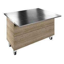 Electrolux Professional Tekerlekli, İki Adet Paslanmaz Çelik Tepsi Kaydırma Y=900 Mm F00N4AW00S Electrolux Professional Tekerlekli, İki Adet Paslanmaz Çelik Tepsi Kaydırma Y=900 Mm F00N4AW00S