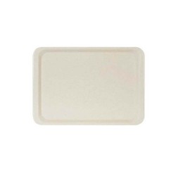 ErkoPlas ERKO0107 Polyester Servis Tepsisi-37X53 cm-Anti bakteriyel-bej ErkoPlas ERKO0107 Polyester Servis Tepsisi-37X53 cm-Anti bakteriyel-bej